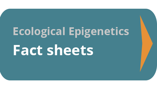Ecological Epigenetics Fact sheets