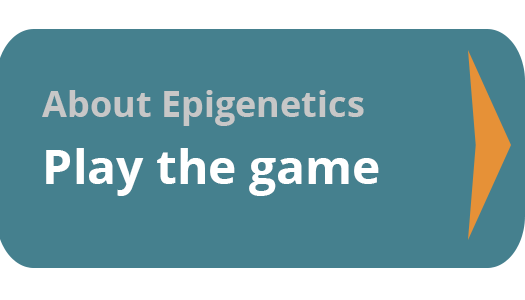 About Epigenetics: Play the game